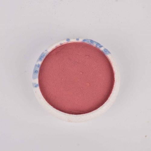 Dehydrated Red Beet Root Powder