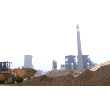 20MW Biomass Power  Steam Turbine