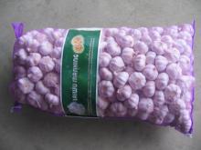 Fresh Normal White Garlic