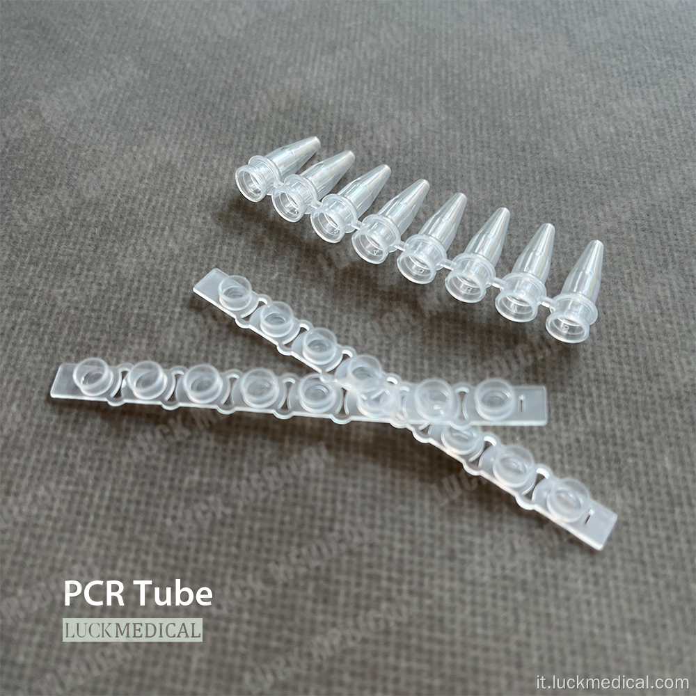 PCR in plastica usa e getta a 8 tubi PCR