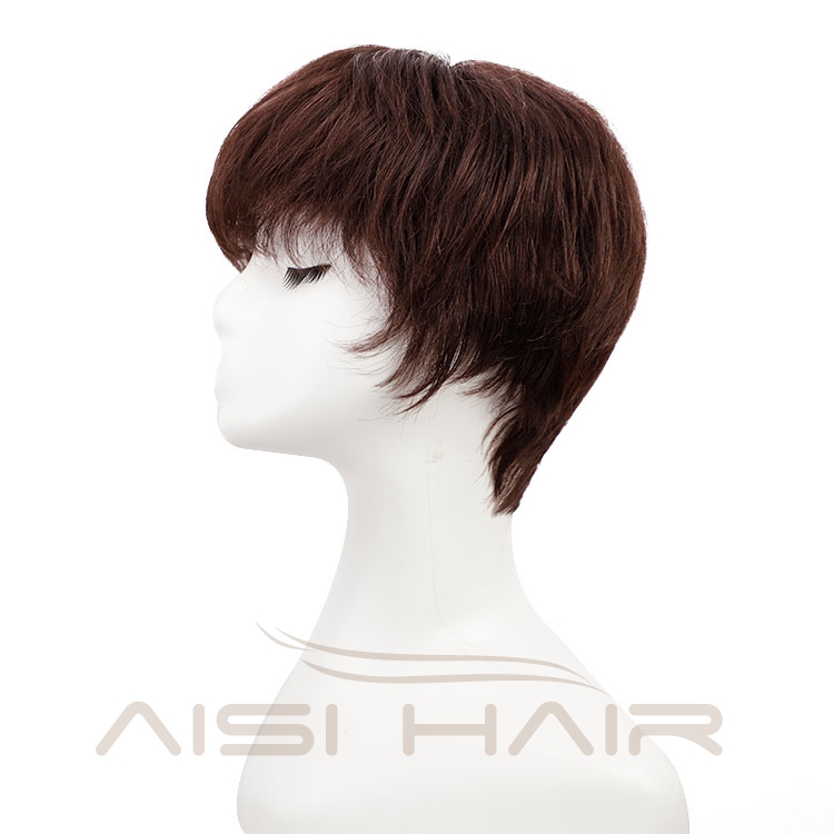 Cheap Vendors 100%  Brazilian Full Cosplay Pixie Cut Styles Human Hair Natural Whole Short Wigs