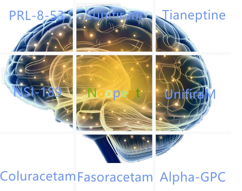 pramiracetam dosage