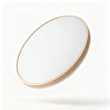 Modern Indoor LED Ceiling Lamp