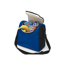 Flexible Cooler Bag - Insulated Portable Lunch Bag