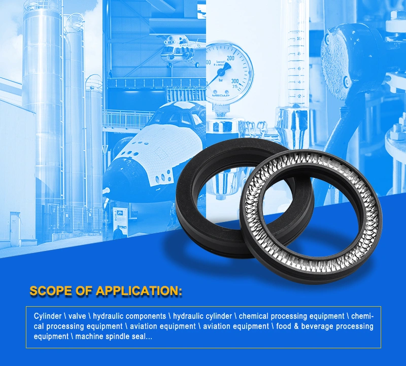 Spring Energized Seals for Cylinder China Manufacture