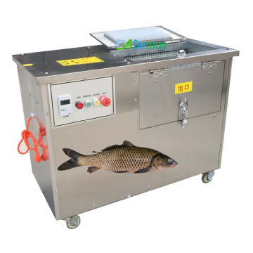 Fish Scaling Machine: Tilapia Fish Scale Remover Cleaning Equipment
