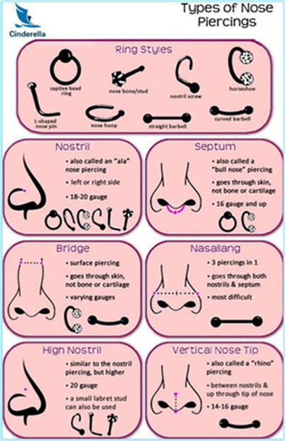 3 types of nose piercing and rings