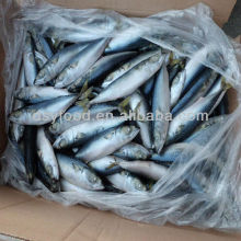 Seafood Fishes frozen pacific mackerel flaps