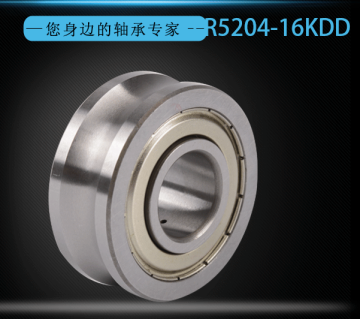 Double Row Angular Contact Ball Bearing