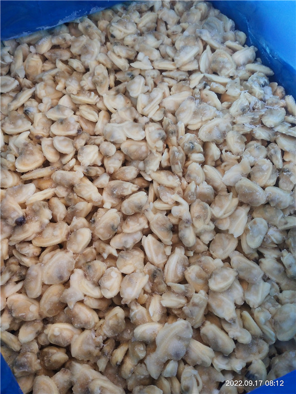 Świeży zamrożony małż gotowany gotowany na krótki czas szyjki