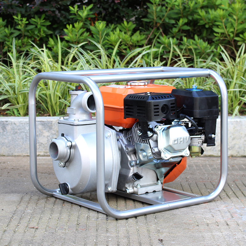 BISON(CHINA) Gasoline Water Pump WP20