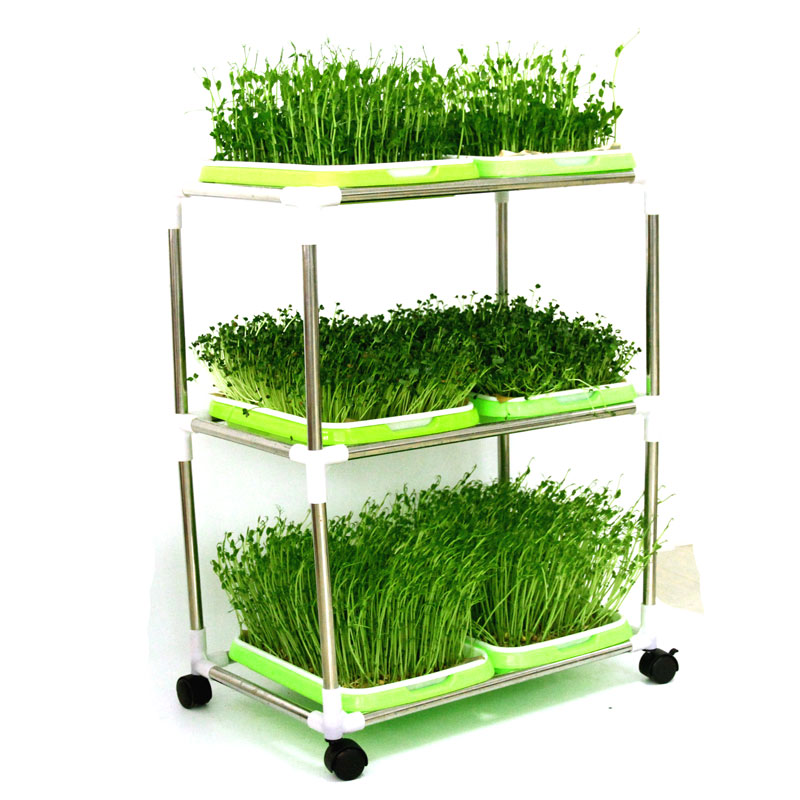 hydroponics kit1