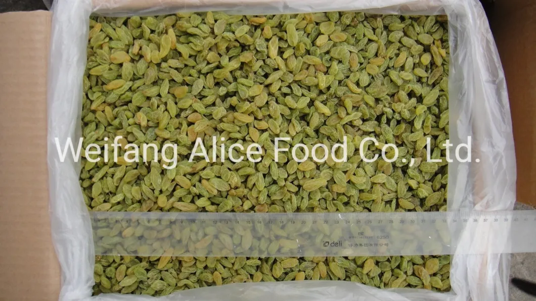 Wholesale New Crop Dried Raisins Preserved Raisins Price Green Raisins