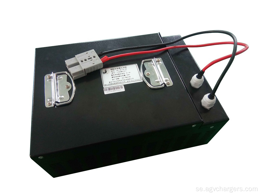 24V 150AH LiFePO4 AGV batteriladdare med BMS