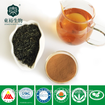 Organic Green Tea Extract for dietary supplements