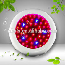 50w horticultural led lighting apollo