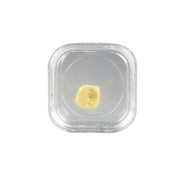 Transparent Plastic Dental Tooth Box with Membrane