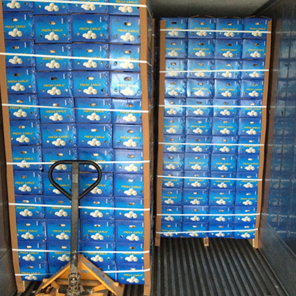 China Garlic Packing Boxes