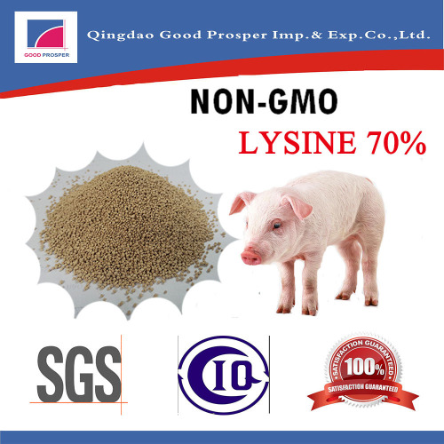 Lysine Powder 70% Sulphate