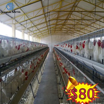 Layer poultry cages/nest for laying hen