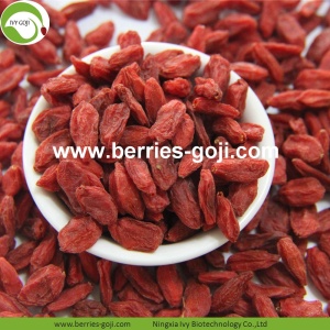 Hot Sale Super Dried Fruit Anti Tumor Wolfberries