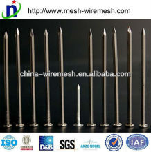 ISO9001 factory supply high quality 3" flathead nails