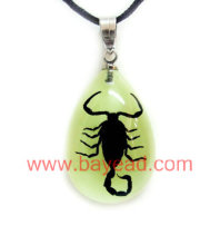 Real insect amber Necklace Fashion Jewelry,unique gift,souvenir gift,tourist souvenir