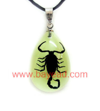 Real insect amber Necklace Fashion Jewelry,unique gift,souvenir gift,tourist souvenir