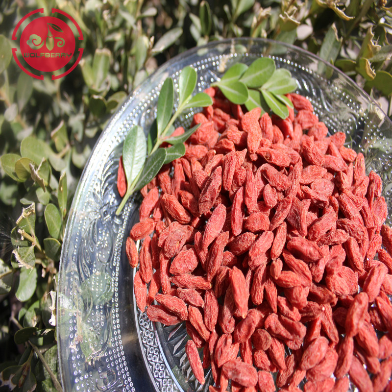 Bacche di Goji a basso contenuto di pesticidi a basso contenuto di medicinali