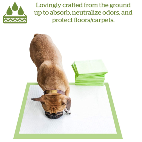 Earth-Friendly Puppy Pee Pad