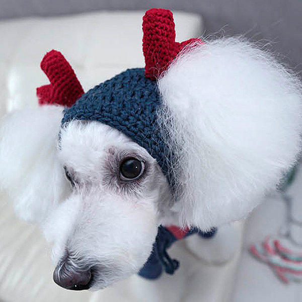 reindeer dog hat