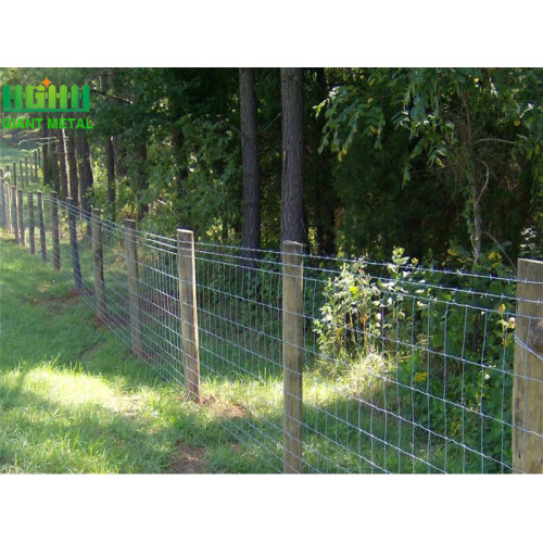 Hot Dipped Galvanized Farm Fence