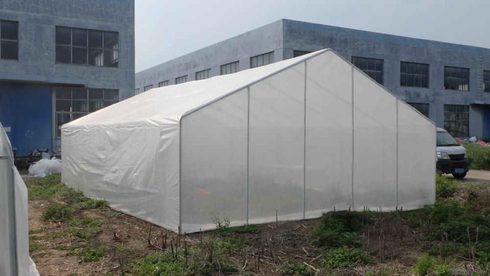 Tunnel Plastic Film Greenhouse with good