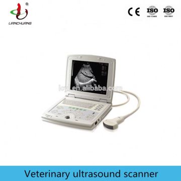 Portable veterinary ultrasound equipment for pregnancy