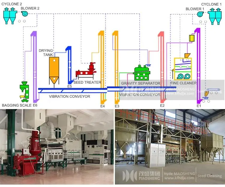 5X Air Screen Bad Seed Separation Machine 10t/H