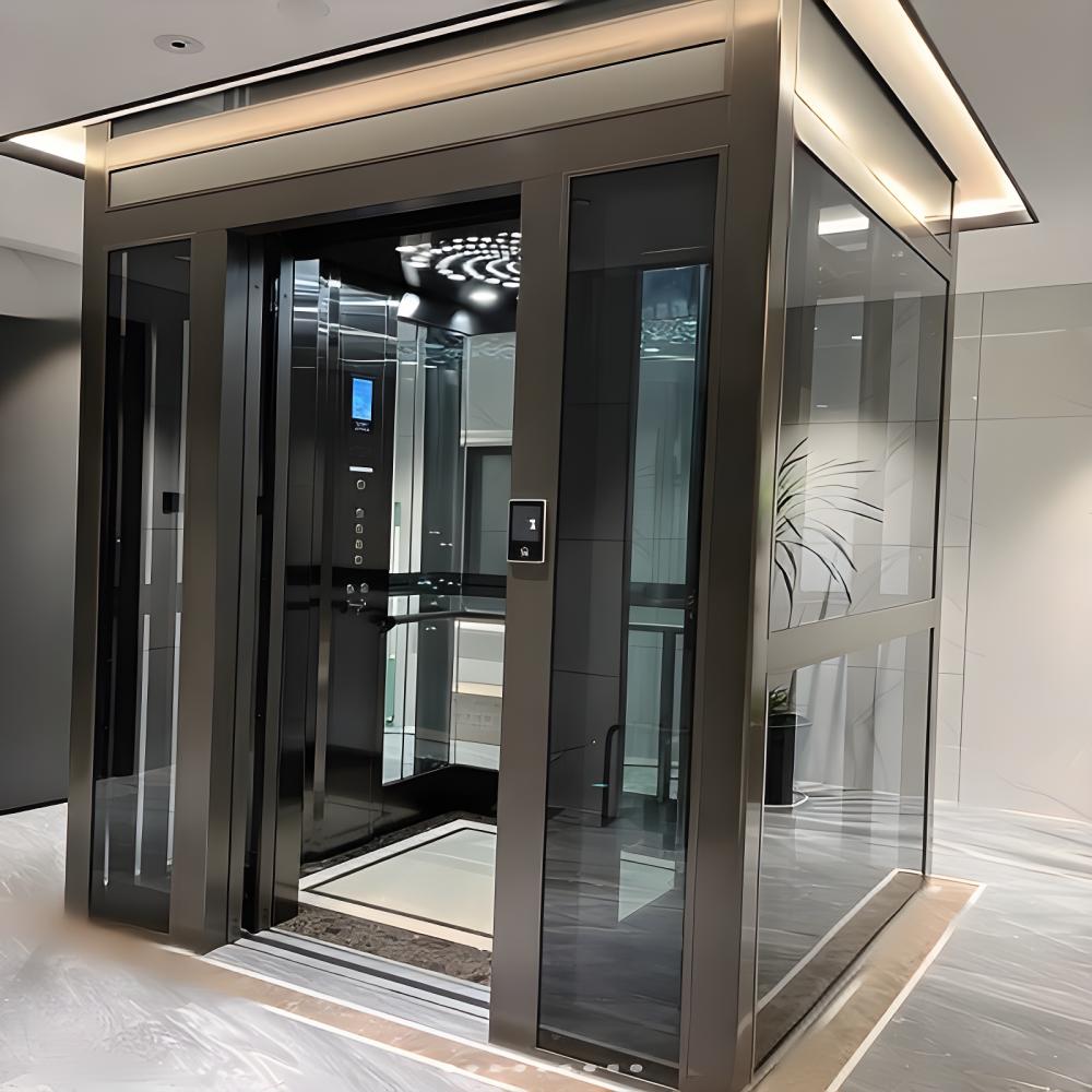 Low Cost Home Elevators Apsl