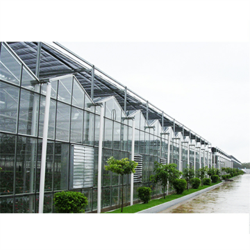 Landwirtschaftliche große Venlo Glass Flower Greenhouse