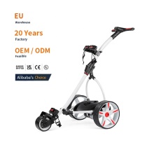 Custom Foldable 3 Wheel Electric Golf Trolley Push Cart
