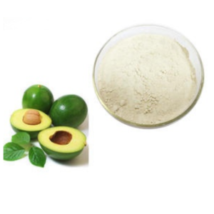 Phytosterols Dried Avocado Fruit Extract Powder