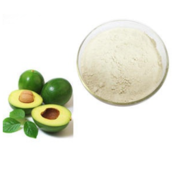 Phytosterols Dried Avocado Fruit Extract Powder