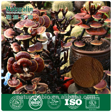 Ganoderma mushroom extract/ Lingzhi mushroom extract/ Reishi mushroom extract