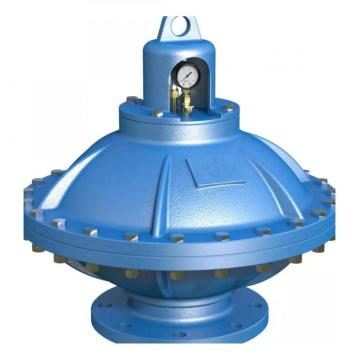 Water Hammer Surge Absorber D100