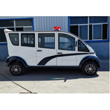 cheap electric sightseeing cars