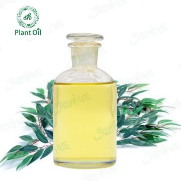 Lemon Eucalyptus Oil Eucalyptus Citriodora Oil