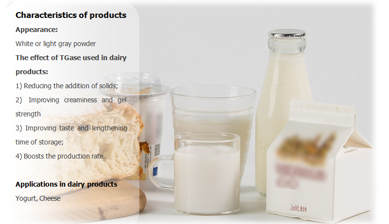 TGase für Milchprodukte TGase for dairy product