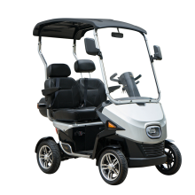 Big Size 2 Seater Electric Cart with Roof - Outdoor Adult Scooter