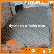 Dyneaplex Film Faced Plywoods
Miss. Kathy