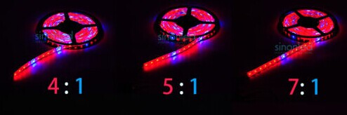 SMD5050 1m LED Strip Grow Light for Aquarium, Greenhouse, Indoor Garden, Hydroponics