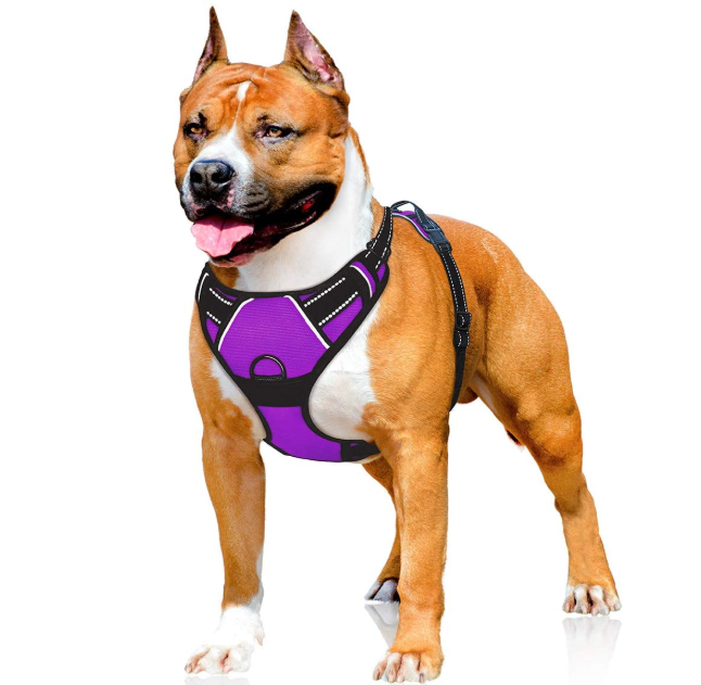 M Reflective Oxford Material Dog Harness