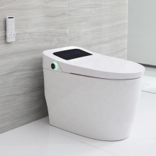 CBMmart's Hot-Selling Villa Hotel Portable Toilets: Smart, Intelligent, and Automatic Flushers for Sale